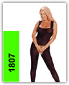 click here to view larger and order